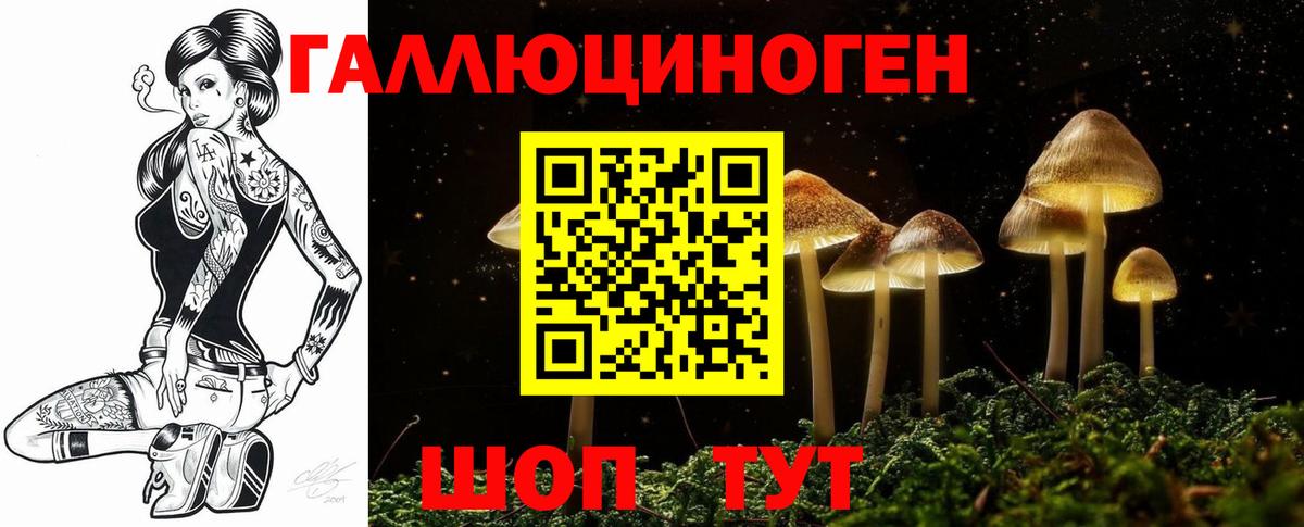 Псилоцибиновые грибы ЛСД  Вход с VPN  закладки  Галлюциногенные грибы Psilocybine cubensis  Хабаровск 